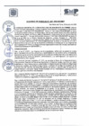 Vista preliminar de documento A.C. N° 41-2023-MDSMP
