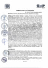Vista preliminar de documento A.C. N° 47-2023-MDSMP