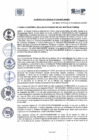 Vista preliminar de documento A.C. N° 48-2023-MDSMP
