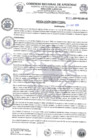 Vista preliminar de documento Resolución Directoral N.° 213-2025-HSR-AND-DE