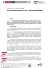 Vista preliminar de documento RESOLUCION DIRECCION EJECUTIVA-000315-2025-DE