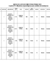 Vista preliminar de documento RVM 000096-2025-VMPCIC-MC - ANEXO