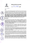 Vista preliminar de documento RA 273-25