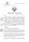 Vista preliminar de documento RD N°089-04-2025-DE-HCLLH-MINSA