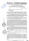 Vista preliminar de documento RES.RECT. N° 0328-2025-UNHEVAL
