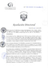 Vista preliminar de documento RD N°101-04-2025-DE-HCLLH-MINSA