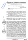 Vista preliminar de documento RES.RECT. N° 0332-2025-UNHEVAL