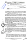 Vista preliminar de documento RES.RECT. N° 0335-2025-UNHEVAL