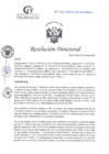 Vista preliminar de documento RD N°108-04-2025-DE-HCLLH-MINSA