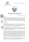 Vista preliminar de documento RD N°110-04-2025-DE-HCLLH-MINSA