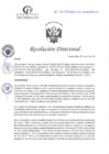 Vista preliminar de documento RD N°111-04-2025-DE-HCLLH-MINSA