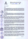 Vista preliminar de documento 264-2025
