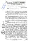 Vista preliminar de documento RES.RECT. N° 0348-2025-UNHEVAL