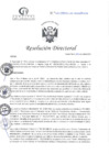 Vista preliminar de documento RD N°113-04-2025-DE-HCLLH-MINSA 