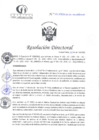 Vista preliminar de documento RD N°114-04-2025-DE-HCLLH-MINSA