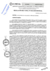 Vista preliminar de documento RES. RECT. N° 0342-2025-UNHEVAL