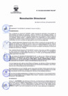 Vista preliminar de documento RD Nº 65-2025-DG-INSM