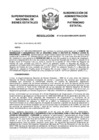 Vista preliminar de documento Resolución N° 0122-2025/SBN-DGPE-SDAPE