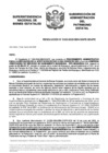 Vista preliminar de documento Resolución N° 0185-2025/SBN-DGPE-SDAPE
