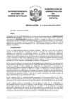 Vista preliminar de documento Resolución N° 0196-2025/SBN-DGPE-SDAPE