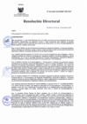Vista preliminar de documento RD Nº 66-2025-DG-INSM