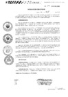 Vista preliminar de documento 179-2025-INSN-DG
