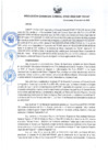 Vista preliminar de documento Resolución de Gerencia General N° 032-2025GRP-PEIHAP