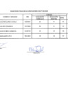 Vista preliminar de documento RESULTADOS FINALES CAS 002-2025