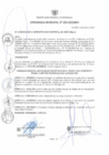Vista preliminar de documento ORDENANZA MUNICIPAL N° 002-2025/MDV