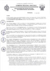 Vista preliminar de documento RESOLUCION N 301