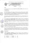 Vista preliminar de documento RESOLUCION N 302