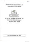 Vista preliminar de documento PADSC 2024_2027