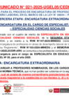 Vista preliminar de documento COMUNICADO 021-2025-CEDE2025 // PROCESO DE ENCARGATURA 2025 // PROCESO Y CRONOGRAMA - 01 PLAZA PARA CARGO DE ESPECIALISTA EN EDUCACIÓN - SECUNDARIA/CCSS