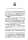 Vista preliminar de documento RDE-038-2025-PROCIENCIA-DE