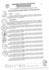 Vista preliminar de documento RGGR0187-2025