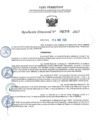 Vista preliminar de documento RD 0796-2025 NX