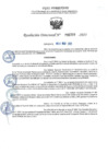 Vista preliminar de documento RD 0799-2025  NX
