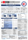 Vista preliminar de documento REPORTE GTGRD 24-04 TURNO DIA