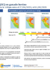 Vista preliminar de documento boletinITH270425