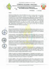 Vista preliminar de documento REA-21-2025- DEUDA MENSAJERIA