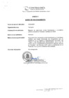 Vista preliminar de documento Denuncias 2025-I