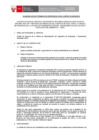 Vista preliminar de documento TDR (3)