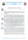 Vista preliminar de documento R.D. Nº 119-2024-MPP-OGAF