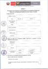 Vista preliminar de documento Anexos de la Ordenanza Municipal Nº007-2025