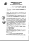 Vista preliminar de documento 009-AU-UNP-2025
