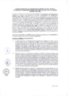 Vista preliminar de documento ANEXO 0685-2025-IN