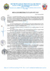 Vista preliminar de documento R.D. Nº 173-2024-MPP-OGAF