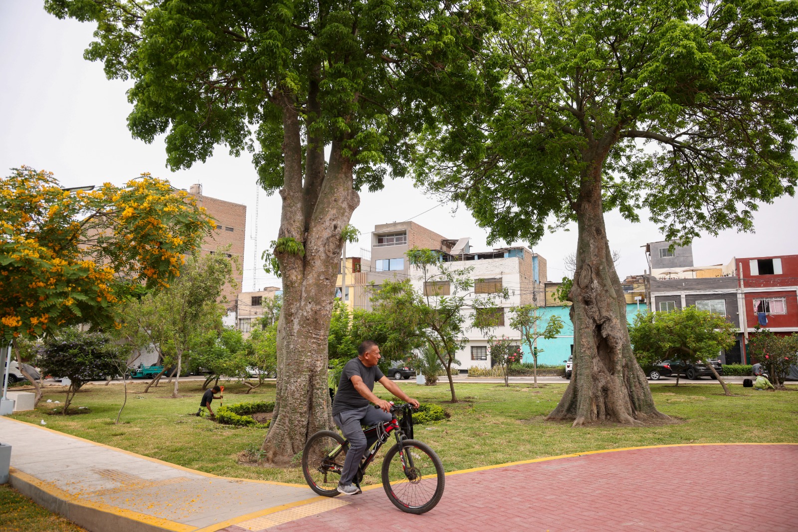 Recuperación de los 75 parques del distrito