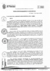 Vista preliminar de documento RA111-2021