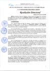 Vista preliminar de documento RD 117-2025 CARDENAS AGURTO LUZ AMERICA PAGO POR 25 AÑOS DE SERVICIO